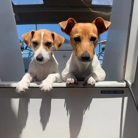 Botel Sleep Aboard A Modern Sailboat In *